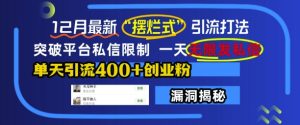 12月最新“摆烂式”引流打法，突破平台私信限制，一天无限发私信，单天引流400+创业粉--皓收集 | 网创宝典