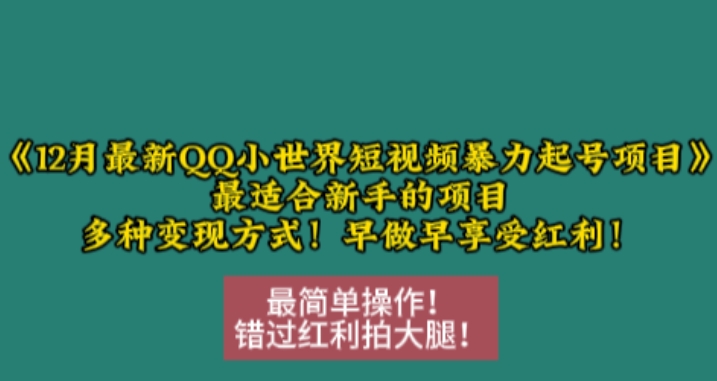 12月最新QQ小世界短视频暴力起号项目，最适合新手的项目，多种变现方式-皓收集 | 网创宝典