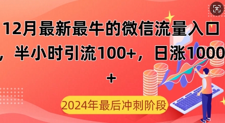 12月最新最牛的微信流量入口，半小时引流100+创业粉，日涨粉1000+-皓收集 | 网创宝典