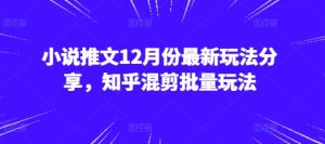 小说推文12月份最新玩法分享，知乎混剪批量玩法--皓收集 | 网创宝典