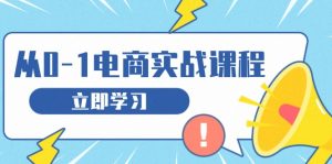 从零做电商实战课程，教你如何获取访客、选品布局，搭建基础运营团队--皓收集 | 网创宝典