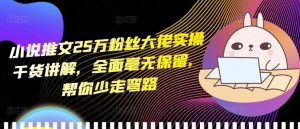 小说推文25万粉丝大佬实操干货讲解，全面毫无保留，帮你少走弯路--皓收集 | 网创宝典