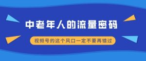 中老年人的流量密码，视频号的这个风口一定不要再错过，小白轻松月入过W--皓收集 | 网创宝典