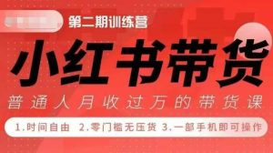 小Red书带货42天训练营 2.0版，宝妈+自由职+上班族+大学生，提高副业收入的大红利项目--皓收集 | 网创宝典