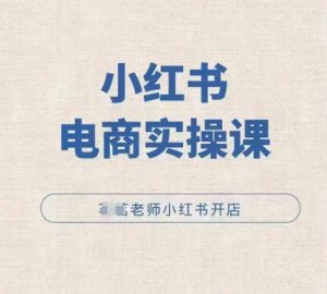 小红薯电商实操课，小红书开店实操必学课--皓收集 | 网创宝典