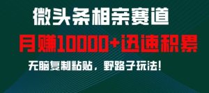 微头条相亲赛道，迅速积累，无脑复制粘贴，野路子玩法，月入1w--皓收集 | 网创宝典