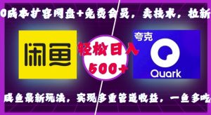 0成本扩容网盘+免费会员，卖技术，拉新，咸鱼最新玩法，实现多重管道收益，一鱼多吃，轻松日入500+--皓收集 | 网创宝典