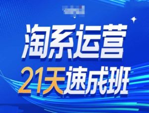 淘系运营21天速成班第34期-搜索最新玩法和25年搜索趋势--皓收集 | 网创宝典