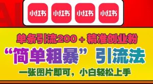 12月底小红书”简单粗暴“引流法，单条引流200+精准创业粉--皓收集 | 网创宝典