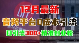 12月最新：音频平台0成本引流，日引流300+精准创业粉--皓收集 | 网创宝典
