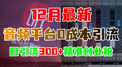 12月最新：音频平台0成本引流，日引流300+精准创业粉-皓收集 | 网创宝典