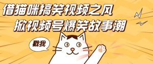 借猫咪搞笑视频之风，掀视频号爆笑故事潮，轻松日入四位数，无门槛快速入门!--皓收集 | 网创宝典