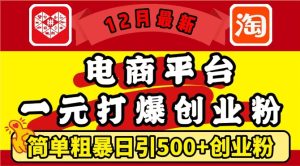 12月最新：电商平台1元打爆创业粉，简单粗暴日引500+精准创业粉，轻松月入过W【揭秘】--皓收集 | 网创宝典