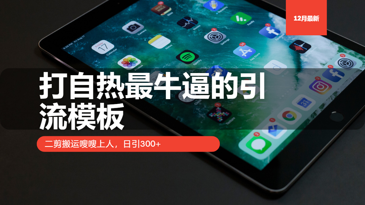 打自热最牛逼的引流模板，二剪搬运嗖嗖上人，日引300+-皓收集 | 网创宝典