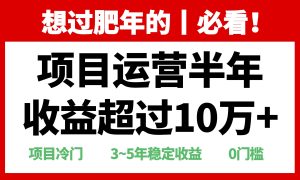 年前过肥年的必看的超冷门项目，半年收益超过10万+--皓收集 | 网创宝典