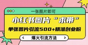 小红书图片‘求带’爆火引流法，单张图片引流500+精准创业粉【揭秘】--皓收集 | 网创宝典
