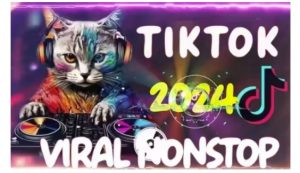 Tiktok东南亚小店运营，TK跨境小店教程让学员能快速掌握实用的运营技巧--皓收集 | 网创宝典