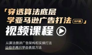 穿透算法底层，学亚马逊广告打法SP篇，从算法侧讲广告架构和实操打法，让你不再只学会表层方法--皓收集 | 网创宝典