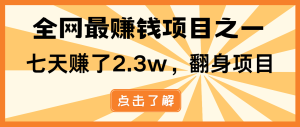 小白必学项目，纯手机简单操作收益非常高!年前翻身！--皓收集 | 网创宝典