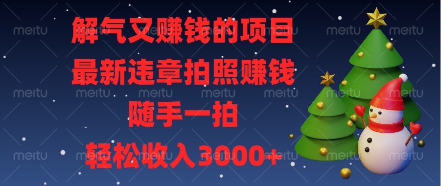 解气又赚钱的项目，最新违章拍照赚钱，随手一拍，轻松收入3000+-皓收集 | 网创宝典