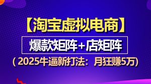 【淘宝虚拟项目】2025牛逼新打法：爆款矩阵+店矩阵，月狂赚5万--皓收集 | 网创宝典