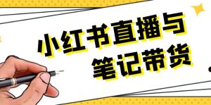 小红书直播与笔记带货：选品、上架、笔记写作、视频剪辑及直播话术等--皓收集 | 网创宝典