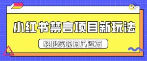 小红书禁言项目新玩法，推广新思路大大提升出单率，轻松实现月入过W--皓收集 | 网创宝典