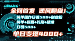 全网首发，简单操作日引500+创业粉，简单+粗暴+长期+精准--皓收集 | 网创宝典