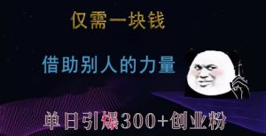仅需一块钱，借助别人的力量，单日引爆300+创业粉、兼职粉【揭秘】--皓收集 | 网创宝典