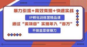 知识付费独家玩法：精准引流+高效变现，简单复制成功模式，最新IP共创导师训练营玩法--皓收集 | 网创宝典