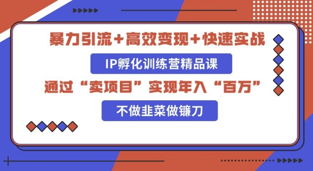 知识付费独家玩法：精准引流+高效变现，简单复制成功模式，最新IP共创导师训练营玩法-皓收集 | 网创宝典