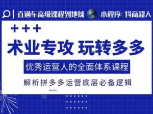 术业专攻玩转多多，优秀运营人的全面体系课程，解析拼多多运营底层必备逻辑--皓收集 | 网创宝典