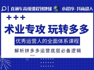 术业专攻玩转多多，优秀运营人的全面体系课程，解析拼多多运营底层必备逻辑-皓收集 | 网创宝典