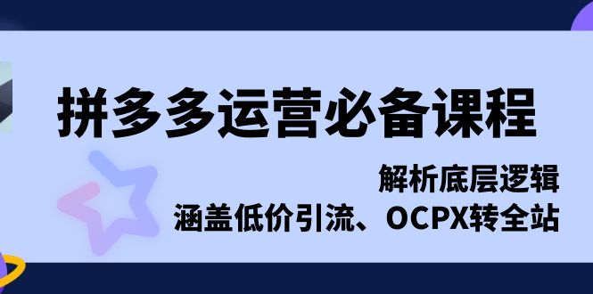 拼多多运营必备课程，解析底层逻辑，涵盖低价引流、OCPX转全站-皓收集 | 网创宝典