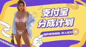 利用海外靶场射击视频，挣支付宝分成收益，轻松月入过W【揭秘】--皓收集 | 网创宝典