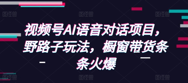 视频号AI语音对话项目，野路子玩法，橱窗带货条条火爆-皓收集 | 网创宝典