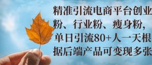 小投资撬动大收益，精准引流创业粉、行业粉，单日引流80+，一天可变现多张--皓收集 | 网创宝典