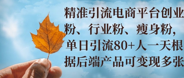 小投资撬动大收益，精准引流创业粉、行业粉，单日引流80+，一天可变现多张-皓收集 | 网创宝典