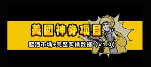 美团神券神会员_入门级教程，外卖券膨胀推广项目【全网首发，全新蓝海】--皓收集 | 网创宝典