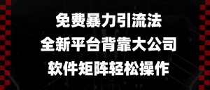 免费暴力引流法，全新平台，背靠大公司，软件矩阵轻松操作--皓收集 | 网创宝典