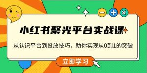小红书 聚光平台实战课，从认识平台到投放技巧，助你实现从0到1的突破--皓收集 | 网创宝典