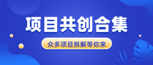 项目共创合集，从0-1全过程拆解，让你迅速找到适合自已的项目--皓收集 | 网创宝典