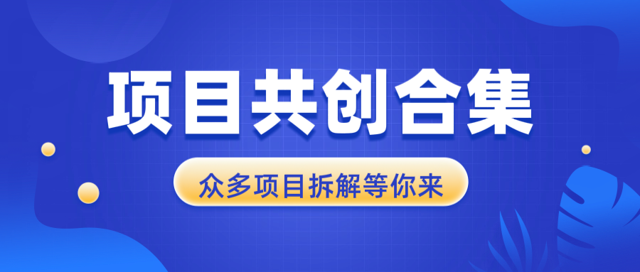 项目共创合集，从0-1全过程拆解，让你迅速找到适合自已的项目-皓收集 | 网创宝典