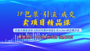 《IP包装·暴力引流·闪电成交卖项目精品课》如何在众多导师中脱颖而出？--皓收集 | 网创宝典