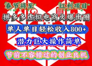 春节将至，拼多多虚拟电商火爆出圈，潜力巨大操作简单，单人单日轻松收入多张【揭秘】--皓收集 | 网创宝典