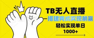 TB全自动无人直播搭建，完成实现躺赢，轻松日入多张--皓收集 | 网创宝典