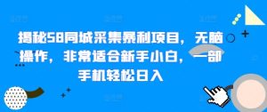 揭秘58同城采集暴利项目，无脑操作，非常适合新手小白，一部手机轻松日入--皓收集 | 网创宝典