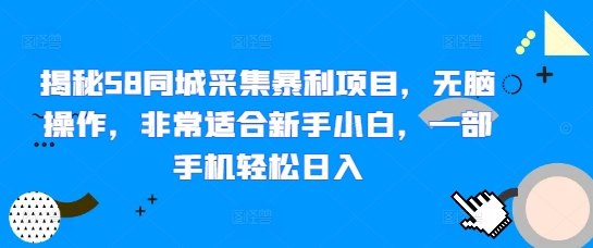 揭秘58同城采集暴利项目，无脑操作，非常适合新手小白，一部手机轻松日入-皓收集 | 网创宝典