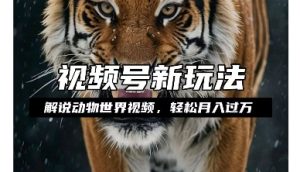 利用动物世界解说视频，赚分成计划收益，轻松月入过W，操作简单【揭秘】--皓收集 | 网创宝典