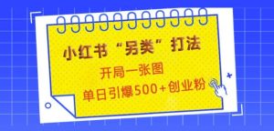 小红书“另类”打法，开局一张图，单日引爆500+精准创业粉【揭秘】--皓收集 | 网创宝典